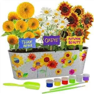 Kit de fenêtre à travers l'usine